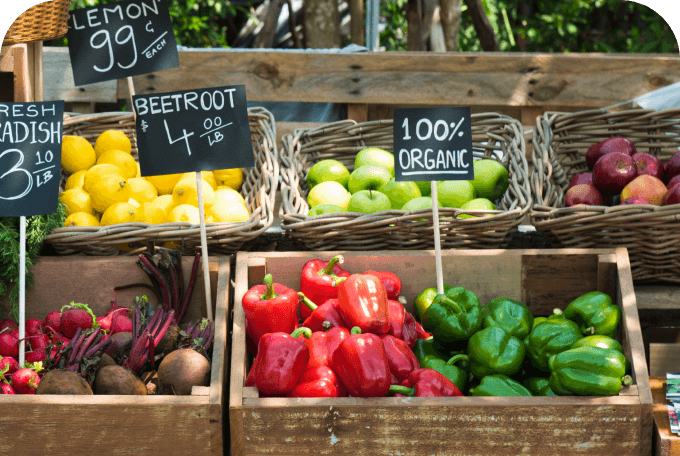 fresh grocery